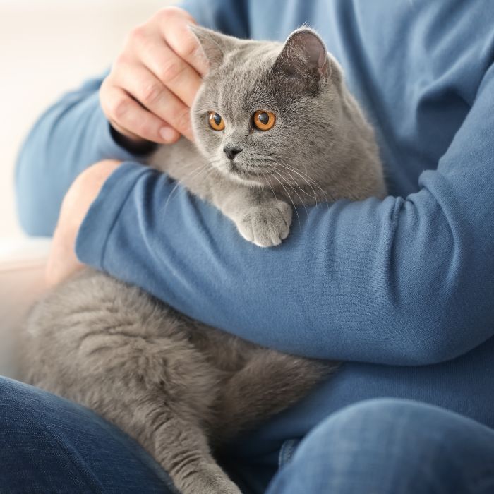 a person holding a cat