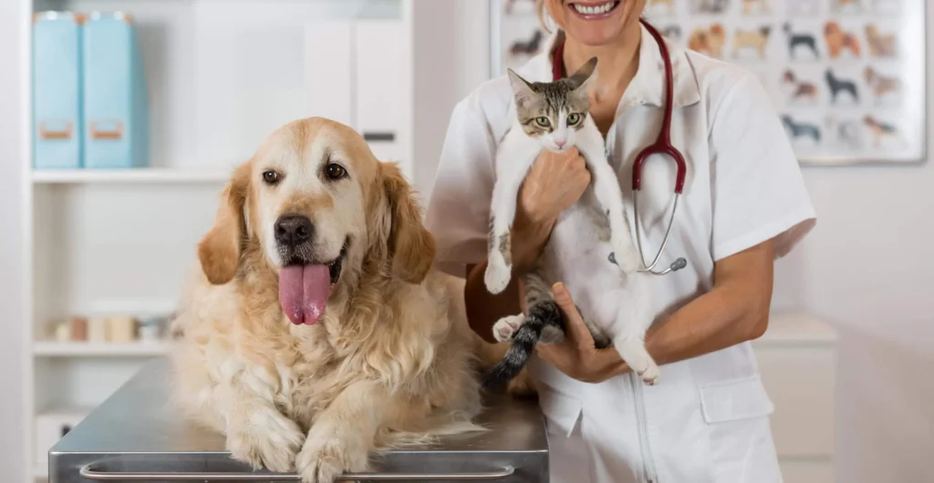 Pet Dentistry In Boca Raton, FL 33496 Healthy Pets Veterinary Care