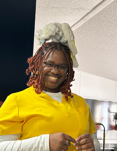 J'avionne