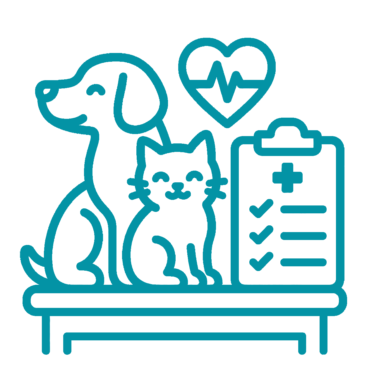 First Aid Icon